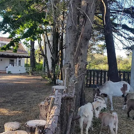 Quinta Fonte Do Ouro