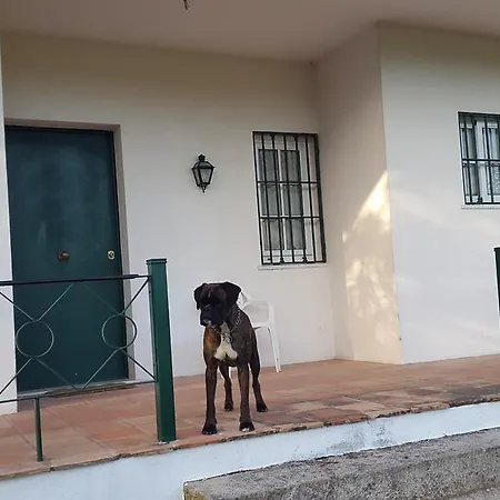 Quinta Fonte Do Ouro * Nelas